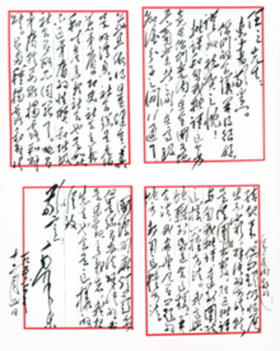 һ��������ʮ�������գ�ë����ϯ����һ�����ȫ�����Ż����࣬�������������������������ķ�������ڲ�ì�����⡣